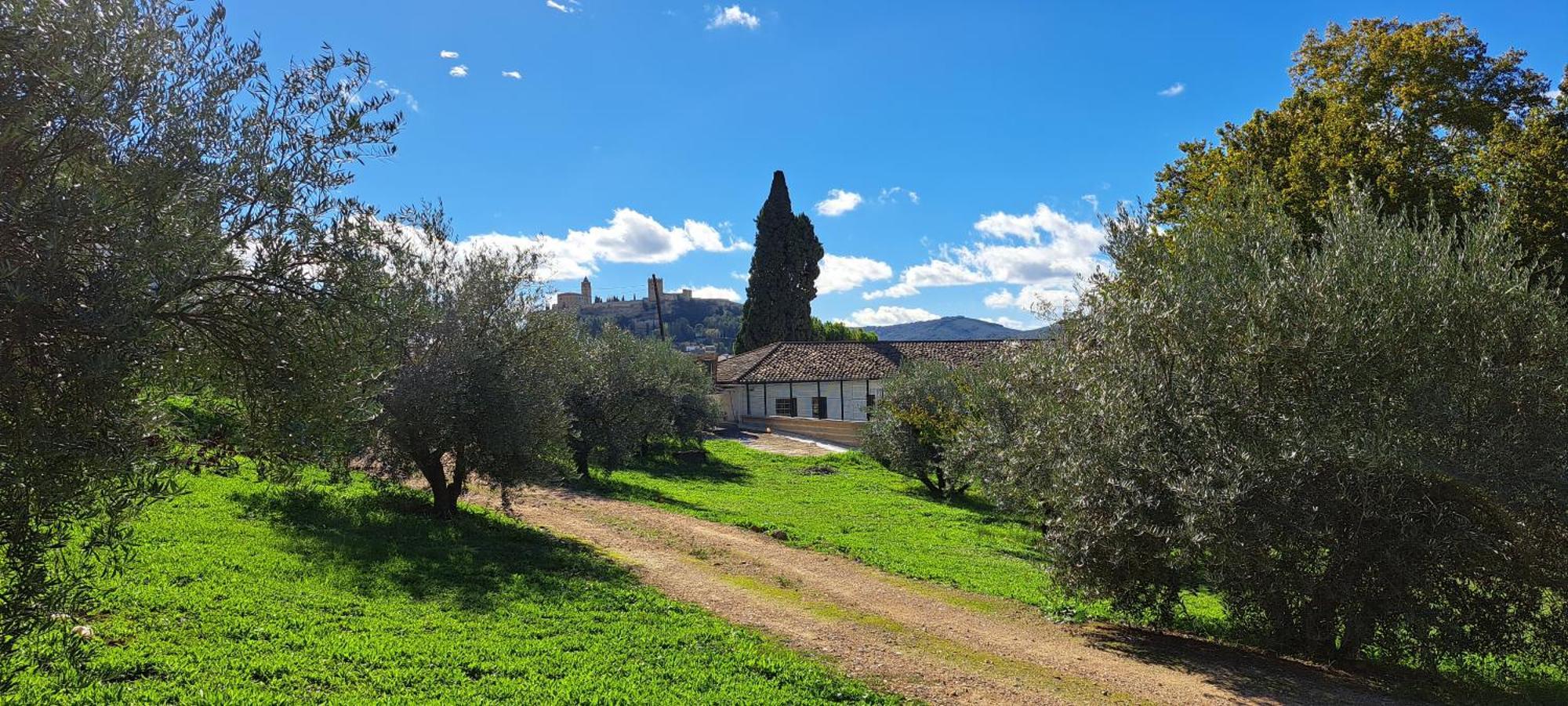 Cauchil Chico Holiday home